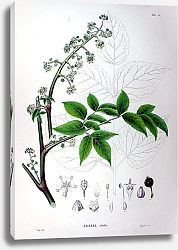 Постер Флора Японии №23