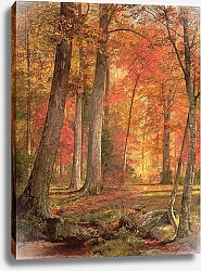 Постер Ричардс Уильям Path in the Forest, 1865