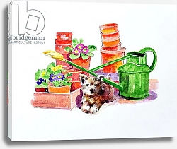 Постер Мэттьюз Диана (совр) Terrier amongst Terracotta Pots