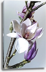 Постер Фиолетовый цветок на ветке