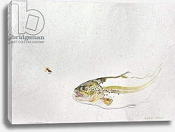 Постер Гиббс Лоу (совр) Trout chasing a fisherman's fly