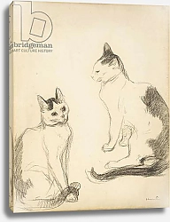 Постер Стейнлен Теофиль The Two Cats; Les Deux Chats