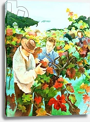 Постер Анжелини Кристиана (совр) Grape Pickers, 1996
