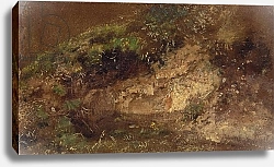 Постер Констебль Джон (John Constable) Undergrowth, c.1821