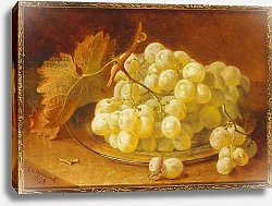 Постер Стэннард Элоиза Grapes on a Silver Plate, 1893