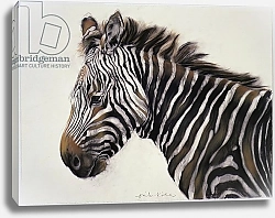 Постер Кидд Одиль (совр) Zebra, 2002