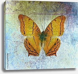 Постер Жёлтая бабочка на голубом гранж фоне