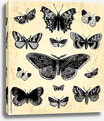 Постер Papillons