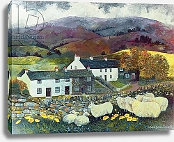 Постер Граа Дженсен Лиза (совр) Sheep Country, 1988