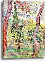 Постер Ван Гог Винсент (Vincent Van Gogh) The Garden of St. Paul's Hospital, St. Remy, October 1889