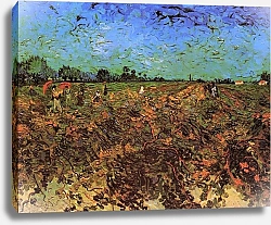 Постер Ван Гог Винсент (Vincent Van Gogh) Зеленые виноградники