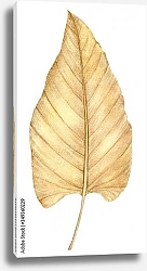 Постер Сушеный лист филодендрона