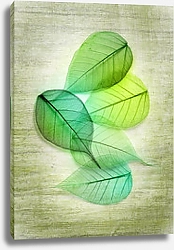 Постер Разноцветные прозрачные листья 