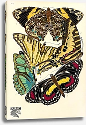 Постер Papillons by E. A. Seguy №16