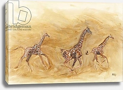 Постер Сандерс Франческа (совр) Giraffe running, 2013