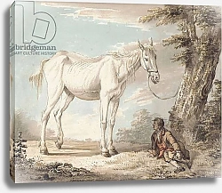 Постер Сэндби Поль An Old Grey Horse Tethered to a Tree, a Boy resting nearby