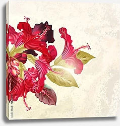 Постер Красные цветы гибискуса на ретро фоне