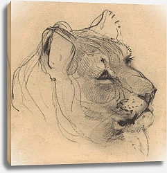 Постер Виринк Бернард Виллем Kop van een leeuwin