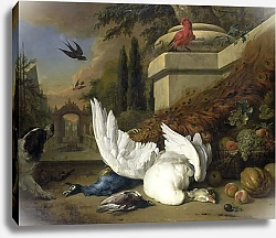 Постер Виникс Ян A Dog with a dead Goose and Peacock