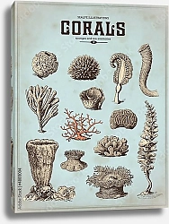 Постер Ретро плакат с кораллами, губками и морскими анемонами