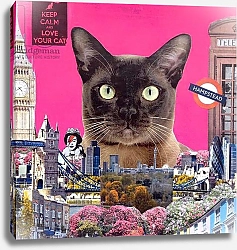Постер Сторно Энн (совр) Urban cat, 2015,