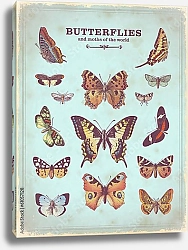Постер Винтажный плакат с яркими  бабочками