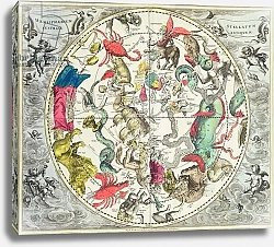 Постер Селлариус Адре (карты) Map of the Southern Hemisphere, from 'The Celestial Atlas, 1660-61