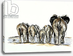 Постер Сандерс Франческа (совр) Elephant bottoms, 2013,