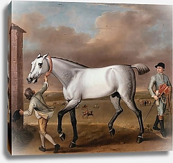 Постер Уоттон Джон The Duke of Hamilton's Grey Racehorse Victorious at Newmarket 1725