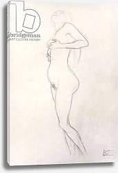 Постер Климт Густав (Gustav Klimt) Standing Nude Girl Looking Up