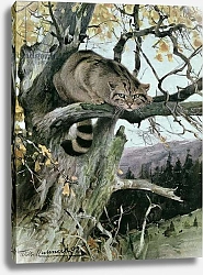 Постер Кунер Вильгельм Wildcat in a Tree, 1902