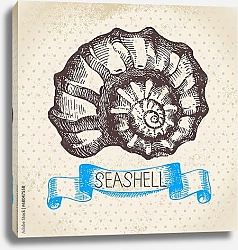 Постер Иллюстрация с морской раковиной