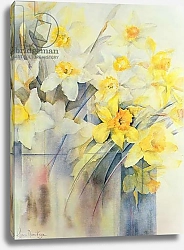 Постер Армитаж Карен (совр) Mixed Daffodils in a Tank