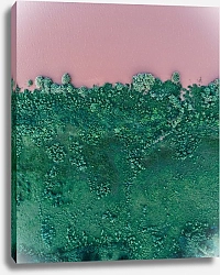 Постер Зеленый берег розового озера
