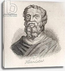 Постер Кук Д. В. Herodotus of Halicarnassus