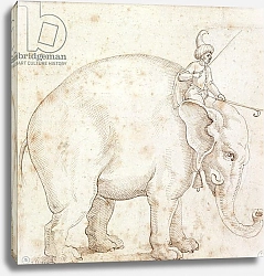 Постер Школа: Итальянская 16в. Elephant Hanno and his Mahout