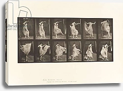 Постер Муйбридж Идвеард Plate 188. Dancing, 1872-85