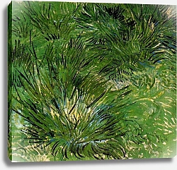 Постер Ван Гог Винсент (Vincent Van Gogh) Пучки травы