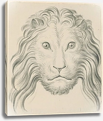 Постер Супервилле Давид Lion’s head