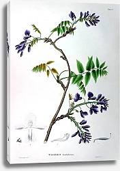 Постер Флора Японии №43