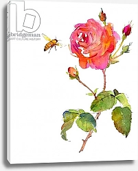 Постер Килинг Джон (совр) Rose with bee, 2014,