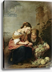 Постер Мурильо Бартоломе The Little Fruit-Seller, 1670-75