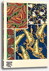 Постер Papillons by E. A. Seguy №11