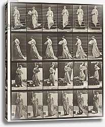 Постер Муйбридж Идвеард Plate 141. Descending Stairs and Flirting Fan, 1885
