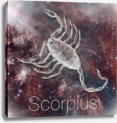 Постер Астрологический знак зодиака - Скорпион
