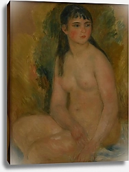 Постер Ренуар Пьер (Pierre-Auguste Renoir) Femme nue
