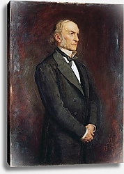 Постер Милле Джон Эверетт Portrait of William Ewart Galdstone 1879