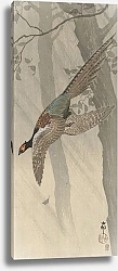 Постер Косон Охара Flying pheasant