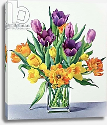 Постер Рэйленд Кристофер (совр) Spring Flowers