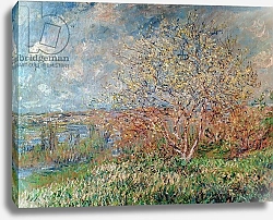 Постер Моне Клод (Claude Monet) Spring, 1880-82